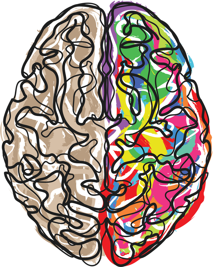 Human Brain Lateralization